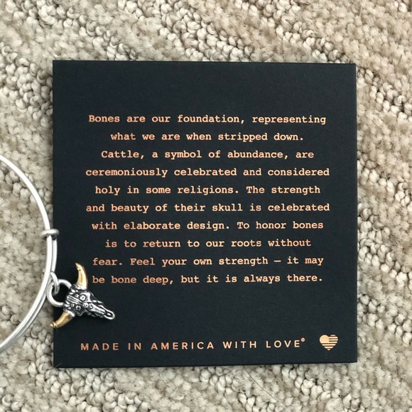 NWT! Alex and Ani Spirited Skull charm bracelet - Picture 4 of 4